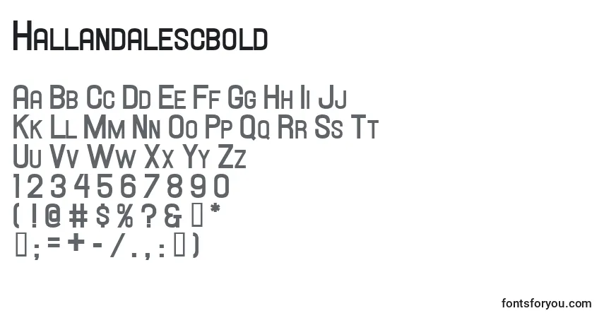 Czcionka Hallandalescbold – alfabet, cyfry, specjalne znaki