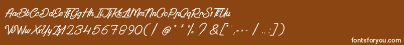 PaintingInTheSunlight Font – White Fonts on Brown Background