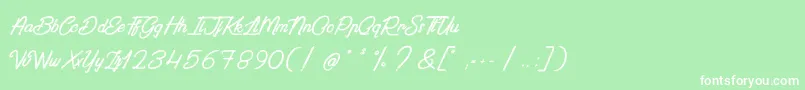 PaintingInTheSunlight Font – White Fonts on Green Background