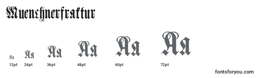 Размеры шрифта Muenchnerfraktur (100802)
