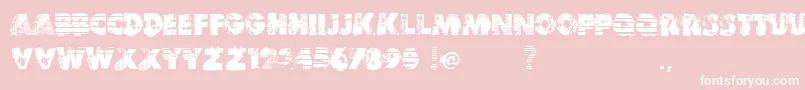 VtksReverso Font – White Fonts on Pink Background