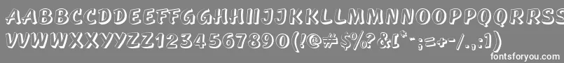GeSidestepCaps Font – White Fonts on Gray Background