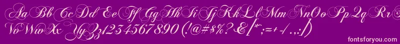 Chopinscriptc Font – Pink Fonts on Purple Background
