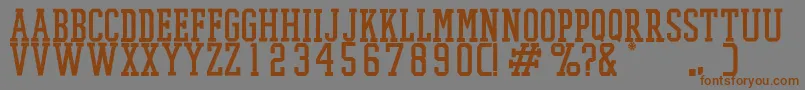 PromeshTwo Font – Brown Fonts on Gray Background