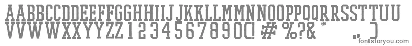 PromeshTwo Font – Gray Fonts