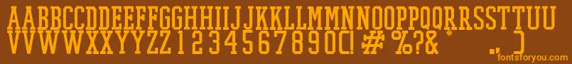 PromeshTwo Font – Orange Fonts on Brown Background