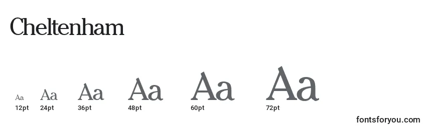 Cheltenham Font Sizes