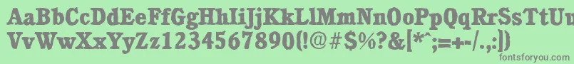 CalgaryantiqueXboldRegular Font – Gray Fonts on Green Background