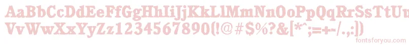 CalgaryantiqueXboldRegular Font – Pink Fonts on White Background