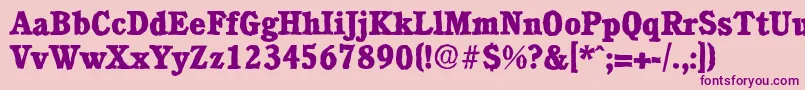 CalgaryantiqueXboldRegular Font – Purple Fonts on Pink Background