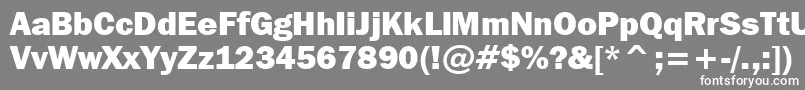 FranklinGothicItcHeavyBt Font – White Fonts on Gray Background