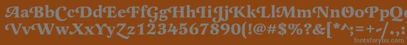 LatienneswatBold-fontti – harmaat kirjasimet ruskealla taustalla