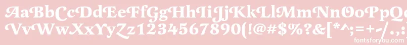 LatienneswatBold Font – White Fonts on Pink Background