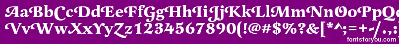 LatienneswatBold Font – White Fonts on Purple Background