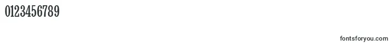 BruskovayaCompPlain110n Font – Fonts for Numbers and Digits