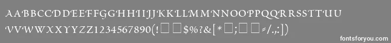 ScriptoriaSmallCapsSsi Font – White Fonts on Gray Background