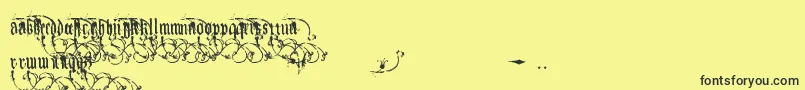 Kingjola Font – Black Fonts on Yellow Background