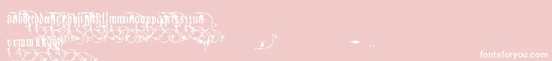 Saiba mais sobre a fonte Kingjola Fonte Kingjola – fontes brancas em um fundo rosa