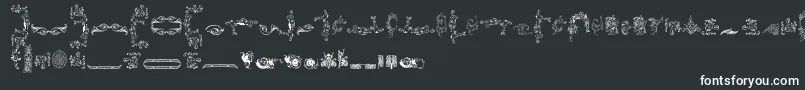 Ornamentamonumenta Font – White Fonts