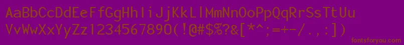 MonotonyRegular Font – Brown Fonts on Purple Background