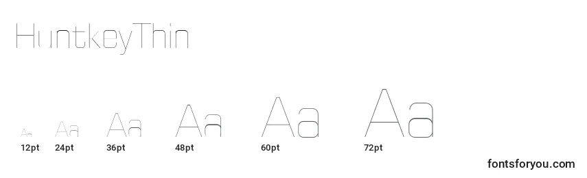 HuntkeyThin Font Sizes