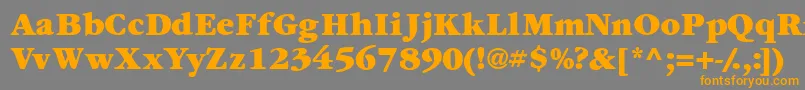 Garamondexblackssk Font – Orange Fonts on Gray Background