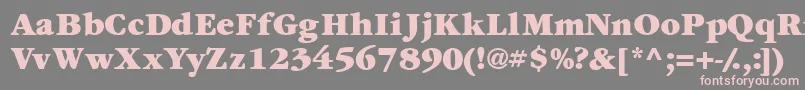 Garamondexblackssk Font – Pink Fonts on Gray Background