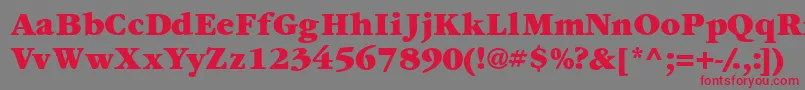 Шрифт Garamondexblackssk – красные шрифты на сером фоне