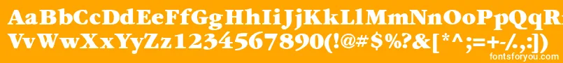 Garamondexblackssk Font – White Fonts on Orange Background