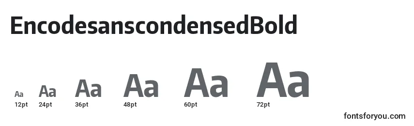 EncodesanscondensedBold Font Sizes