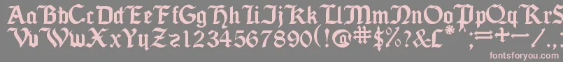 フォントSeagramTfb – 灰色の背景にピンクのフォント