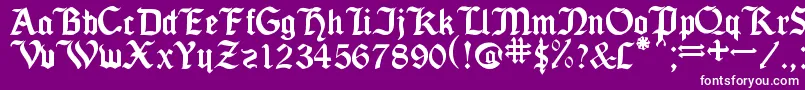 SeagramTfb Font – White Fonts on Purple Background