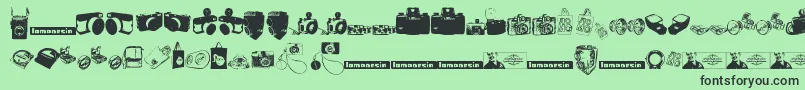 LomonesiaDingbats Font – Black Fonts on Green Background