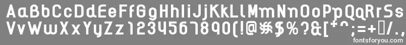 フォントAikelsoB – 灰色の背景に白い文字