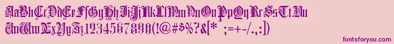 ColchesterBlack-fontti – violetit fontit vaaleanpunaisella taustalla