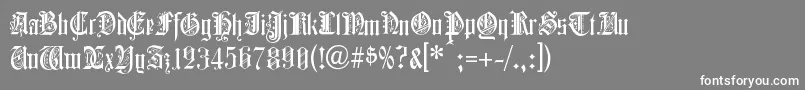 ColchesterBlack-fontti – valkoiset fontit harmaalla taustalla