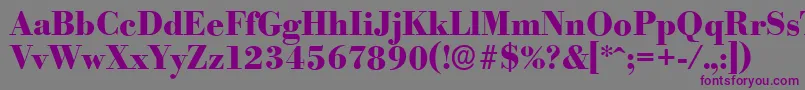 BodoniserialXboldRegular Font – Purple Fonts on Gray Background