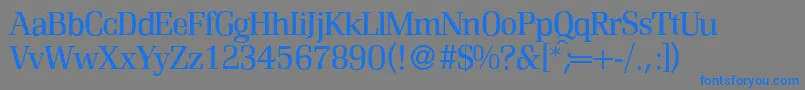 フォントR690RomanRegular – 灰色の背景に青い文字