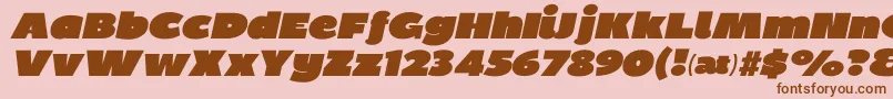 Bpdietitalics Font – Brown Fonts on Pink Background