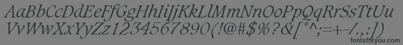 GrammateusLightSsiLightItalic Font – Black Fonts on Gray Background
