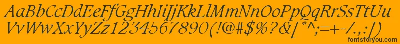 GrammateusLightSsiLightItalic Font – Black Fonts on Orange Background