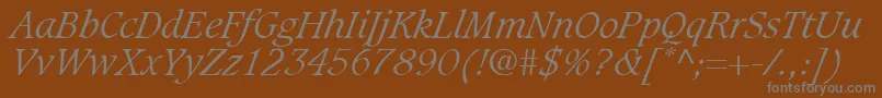 フォントGrammateusLightSsiLightItalic – 茶色の背景に灰色の文字