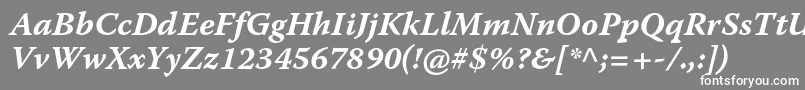 WarnockproBolditcapt Font – White Fonts on Gray Background