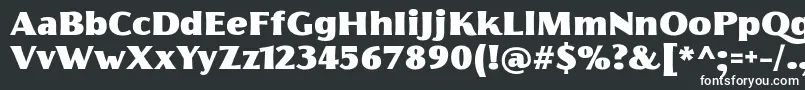 Шрифт FlorentiaFatTrial – белые шрифты на чёрном фоне