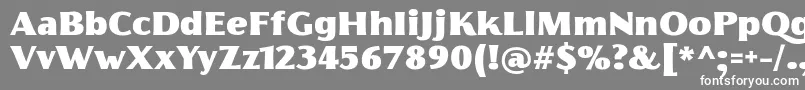 フォントFlorentiaFatTrial – 灰色の背景に白い文字