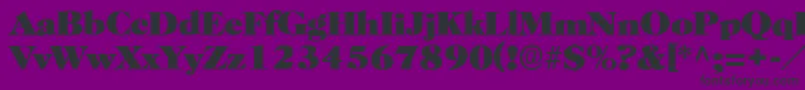 BroadviewRegular Font – Black Fonts on Purple Background