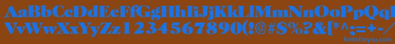 BroadviewRegular Font – Blue Fonts on Brown Background
