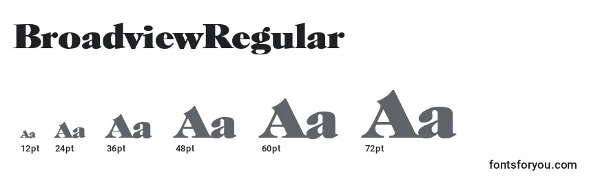 Размеры шрифта BroadviewRegular