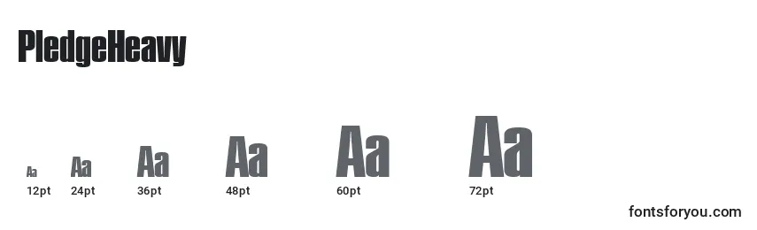 sizes of pledgeheavy font, pledgeheavy sizes
