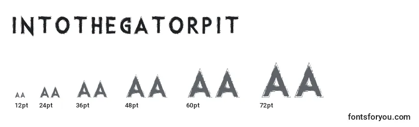 sizes of intothegatorpit font, intothegatorpit sizes